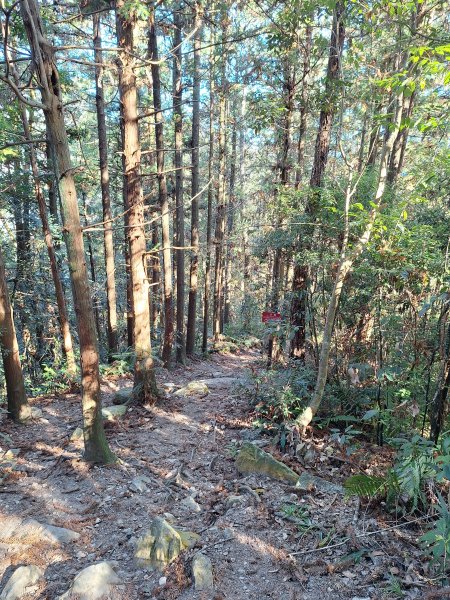 谷關蝴蝶谷瀑布202511202940797