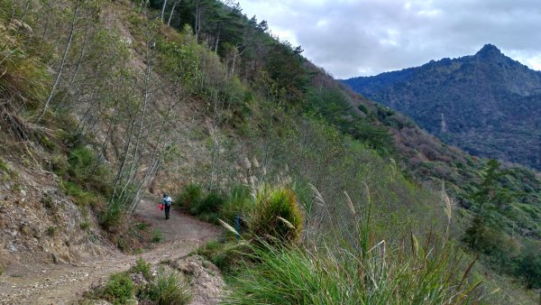 石山引水道👍瀑布1599459