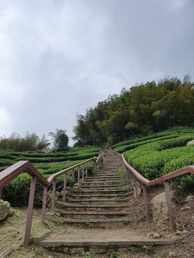 1090405後棟山連走大二尖山908334