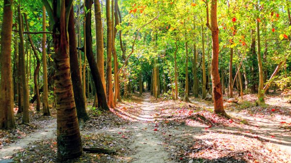 台南知事官邸等3002002