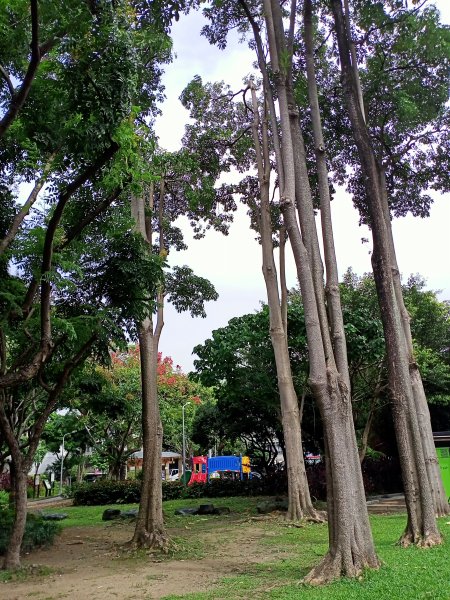 台北信義商圈步道、內湖文德三號公園、瑞陽公園【走路趣尋寶，全臺齊步走】1876826