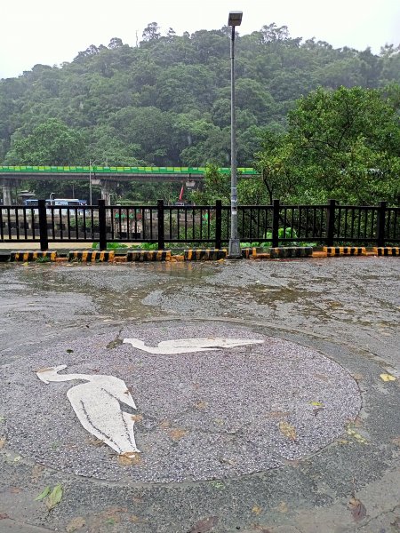 大湖公園 (防災公園)【走路趣尋寶，全臺齊步走】1895274