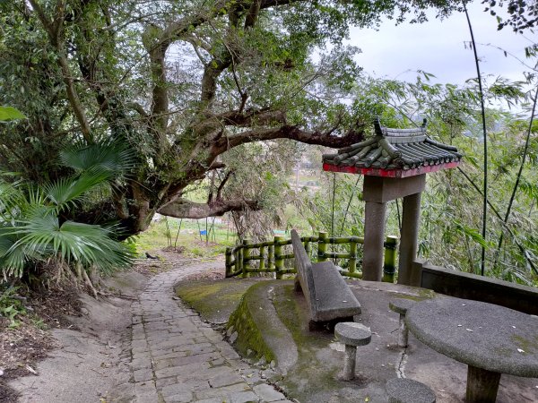 大溪齋明寺古道828757