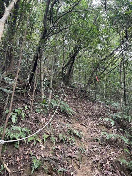 石笋古道O型2553818