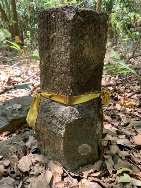 20250503屏東埔姜山東2781512