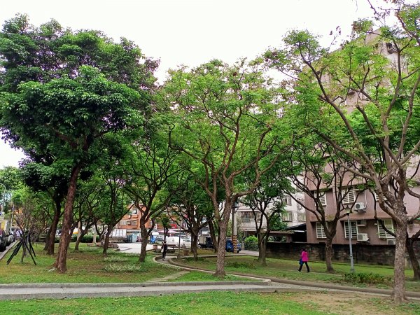 內湖瑞陽公園→文德三號公園→基隆河右岸→美堤河濱公園步道2089969