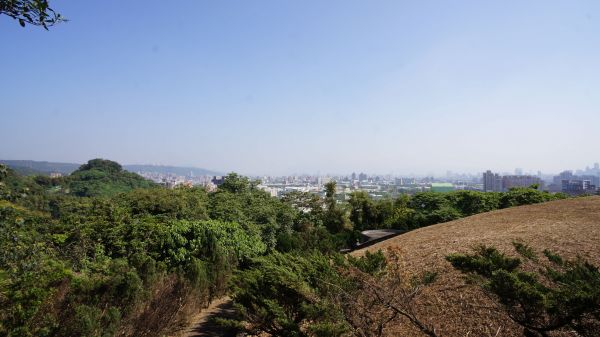 大棟山之縱302457