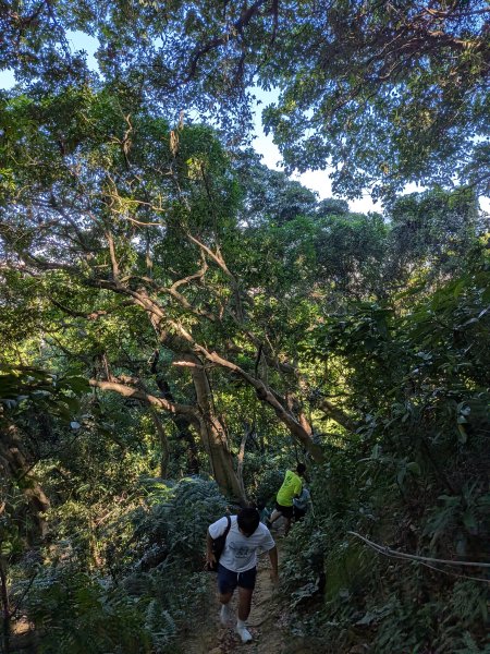 2025-10-10 國慶日看飛機2915371