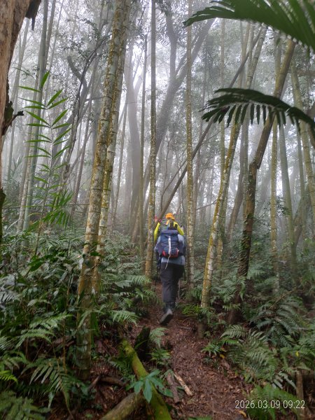 [新竹郊山]內灣三山+油羅溪左斷68河川斷面樁