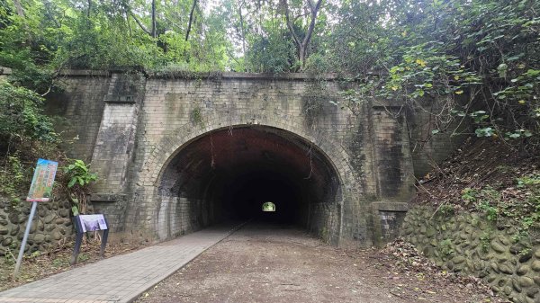20250616崎頂子母隧道-南十八尖山-日出神社遺址-青草山2814274