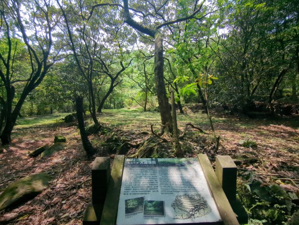 2025.04.27－金包里大路~小油坑縱走2770913
