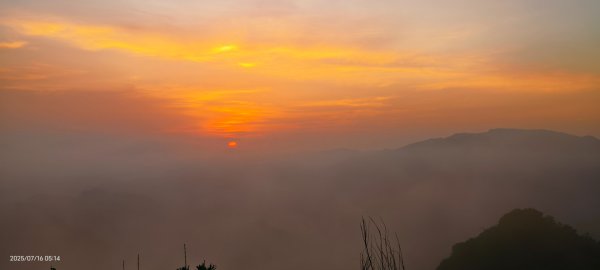 雲山水花鳥蝶-天龍國阿伯的日常 7/162838399
