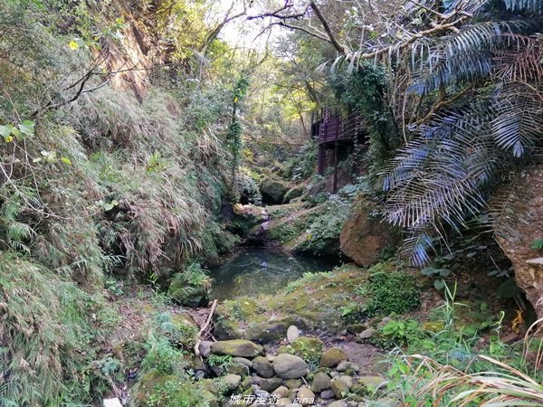 台中~仙氣繩橋山林環繞。 蝙蝠洞登山步道1295471