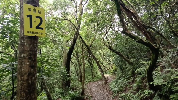 楊梅區龜山頭山-福人步道-莊迷湖-保甲路古道-東森山林森林步道-福人步道3074670
