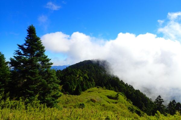 武陵四秀登山步道357414