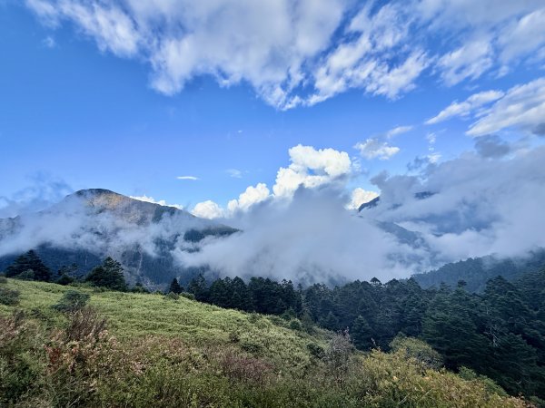 合歡東峰散步趣  2025.10.152923061