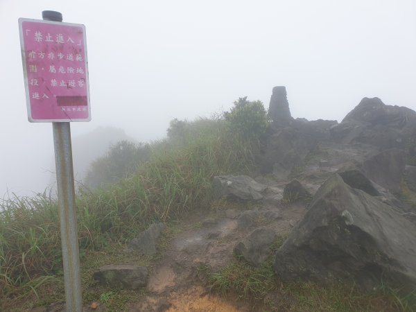 一人獨享但有點可怕的無耳茶壺半屏山燦光寮山1552222