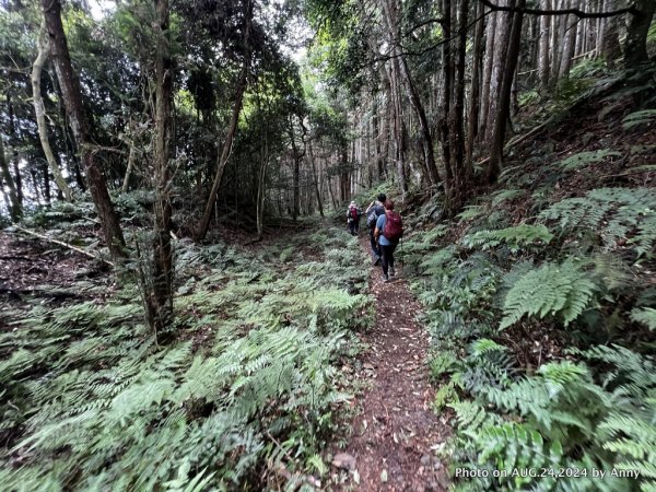 民都有山就是漂亮的夏天冷氣房2582249