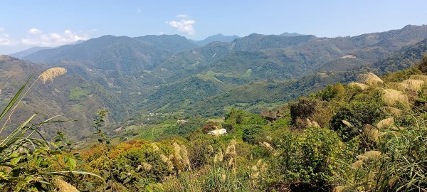 20220312_馬那邦山 細道邦山南峰 細道邦山1637086