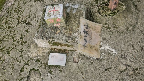 新竹小百岳十八尖山+成功池深度遊3060420