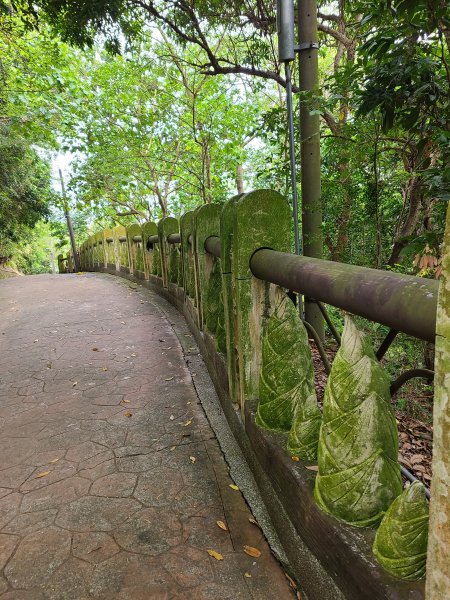 大坑10號提前修好啦(10號上+6號+7號下)2753652