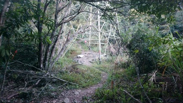 八仙山松鶴線689829