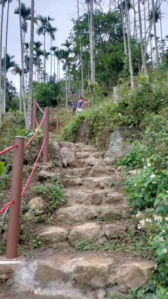 阿拔泉山稜線步道雲海1561749