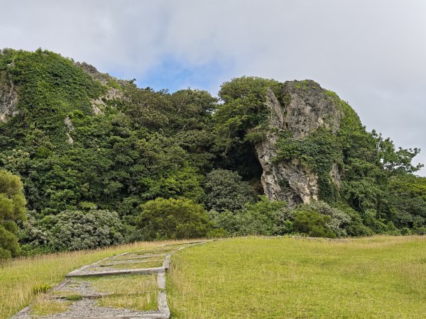 [百山百鳥尋旅-02/15] 2025_0809 社頂自然公園步道2857038