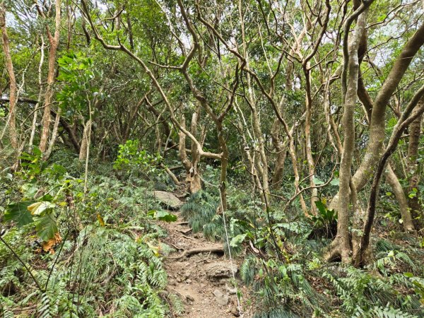 女仍山（小百岳）2752514