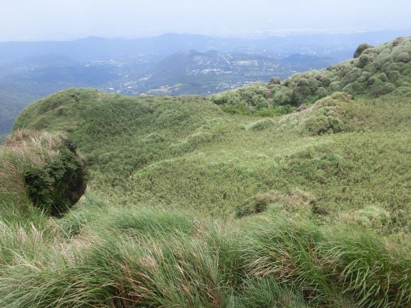 七星山主東峰．七星公園．冷苗步道331901