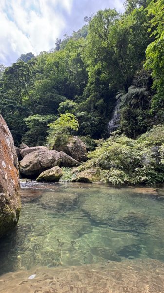 戲水（鴛鴦2786694