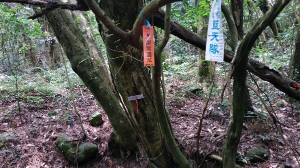 ✅興福寮/巴拉卡舊水管路-開墾地遺址 (全段擴徑增繩.重整完成)2506770