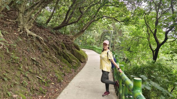 (姨婆趴趴走)第九集:攀登新北鶯歌石，鶯歌郊山步道群縱走(一)2167917