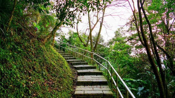 你若來汐止2961407