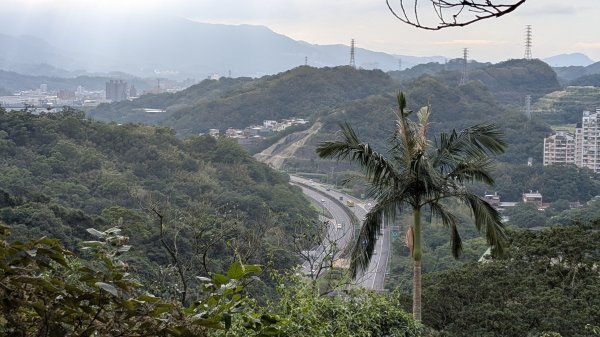 114.12.20劉銘傳隧道-獅球嶺北峰-獅球嶺東砲台山-獅球嶺池-獅球嶺砲台山之旅2966717