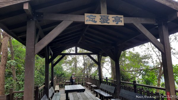 《台中》觀九九峰｜霧峰青桐林生態步道群202511092932232