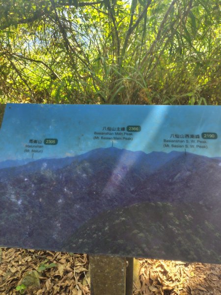 唐麻丹山 蝴蝶谷2918961