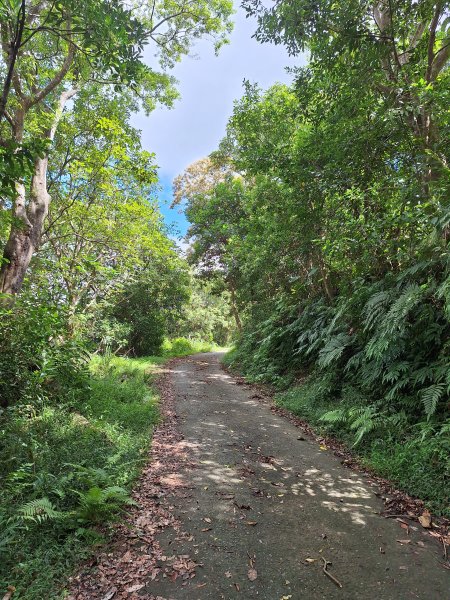 望龍埤三山O型202509272901709