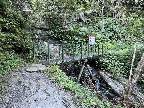 [玉山尋寶任務-03/12] 2025_0810 瓦拉米步道2857404