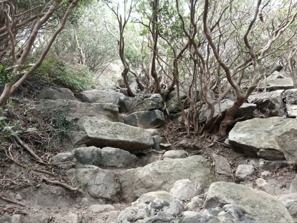 北投區大砲岩-石壇山-大師岩-湯守山-熱海岩場-八頭山-烏尖連山-軍艦岩3027337