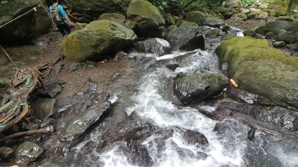 三峽雲森瀑布組合山401171