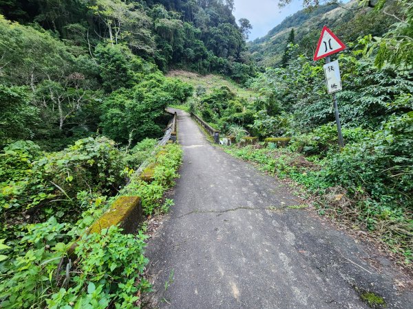 火燒寮山熊空山竹坑山加九嶺O型2966269