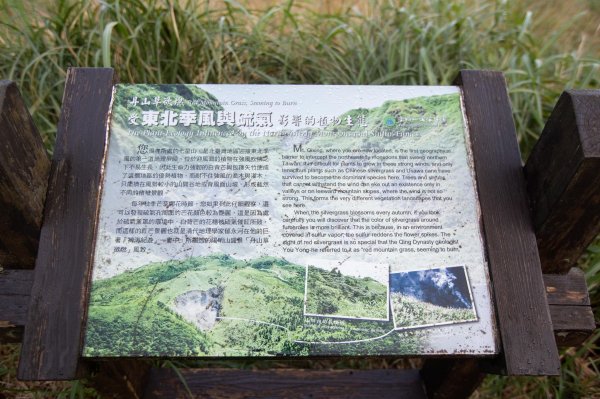 台北大縱走第三段：小油坑-風櫃口（珍貴的火山地質教室）1668624