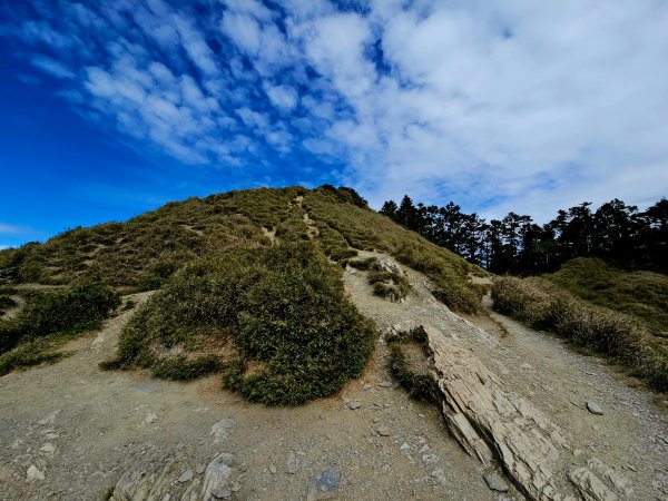 小奇萊步道-(南投)臺灣百大必訪步道2795646