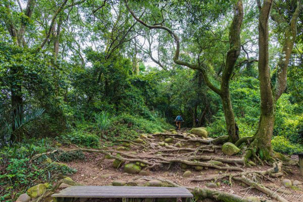 [新竹]飛鳳山2512103