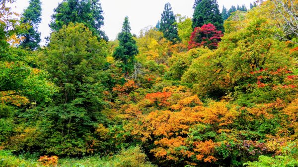 山形縣銀山溫泉2929655