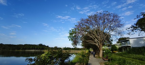2025/11/15-龍昇湖環湖步道2939291