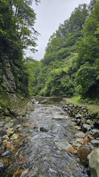 240814-白神山地世界自然遺產地域。美美兔不能錯過的日本東北健行路線。2603898