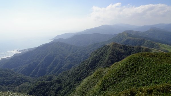 灣坑頭山，大里上大溪下1993802