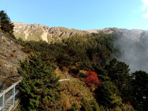 玉山主峰雲海日出765278